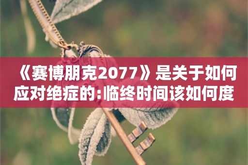  《赛博朋克2077》是关于如何应对绝症的:临终时间该如何度过