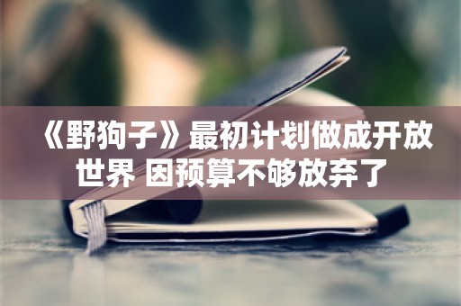  《野狗子》最初计划做成开放世界 因预算不够放弃了