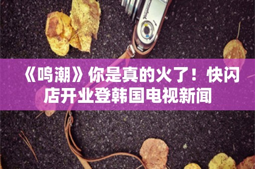  《鸣潮》你是真的火了！快闪店开业登韩国电视新闻