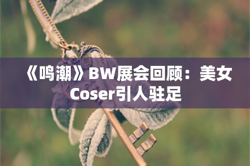  《鸣潮》BW展会回顾：美女Coser引人驻足