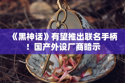  《黑神话》有望推出联名手柄！国产外设厂商暗示