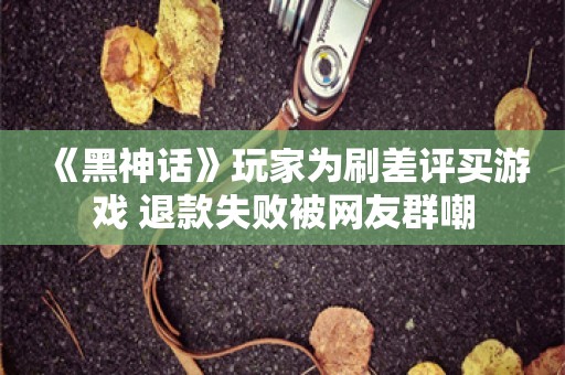  《黑神话》玩家为刷差评买游戏 退款失败被网友群嘲