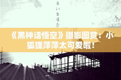  《黑神话悟空》摄影图赏：小狐狸萍萍太可爱啦！