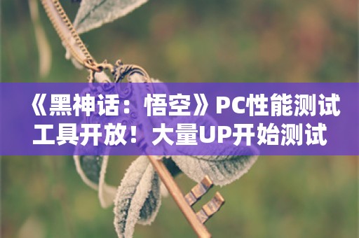  《黑神话：悟空》PC性能测试工具开放！大量UP开始测试