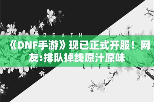  《DNF手游》现已正式开服！网友:排队掉线原汁原味