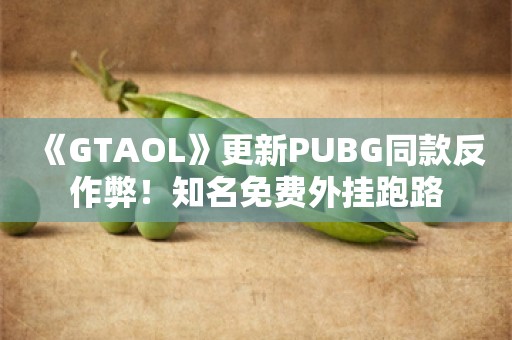  《GTAOL》更新PUBG同款反作弊！知名免费外挂跑路