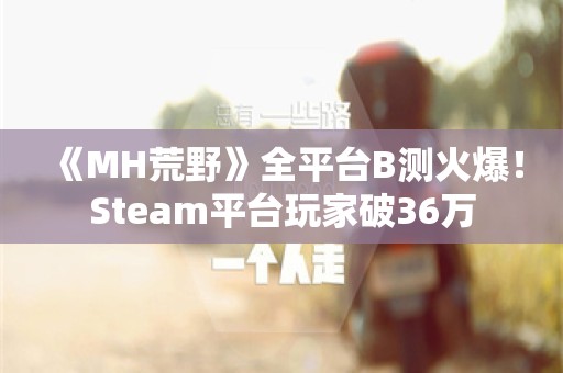  《MH荒野》全平台B测火爆！Steam平台玩家破36万