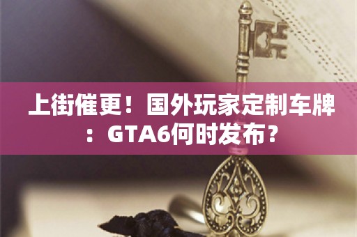  上街催更！国外玩家定制车牌：GTA6何时发布？