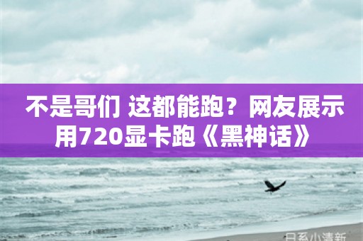  不是哥们 这都能跑？网友展示用720显卡跑《黑神话》