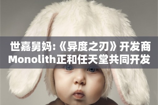  世嘉舅妈:《异度之刃》开发商Monolith正和任天堂共同开发新作