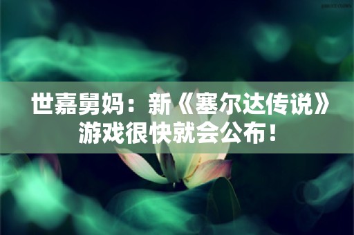  世嘉舅妈：新《塞尔达传说》游戏很快就会公布！