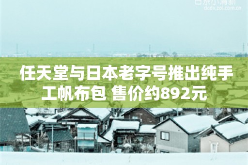  任天堂与日本老字号推出纯手工帆布包 售价约892元