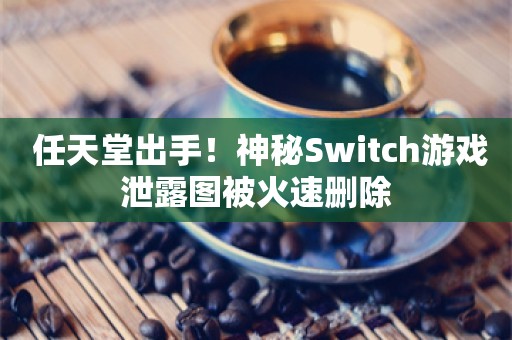  任天堂出手！神秘Switch游戏泄露图被火速删除