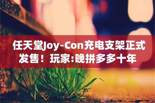  任天堂Joy-Con充电支架正式发售！玩家:晚拼多多十年