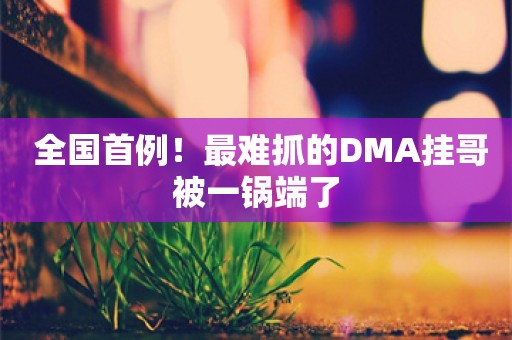  全国首例！最难抓的DMA挂哥被一锅端了