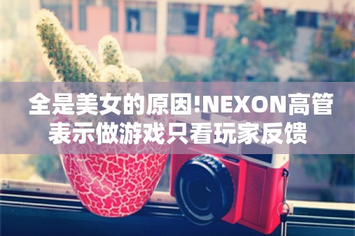  全是美女的原因!NEXON高管表示做游戏只看玩家反馈