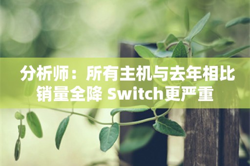  分析师：所有主机与去年相比销量全降 Switch更严重