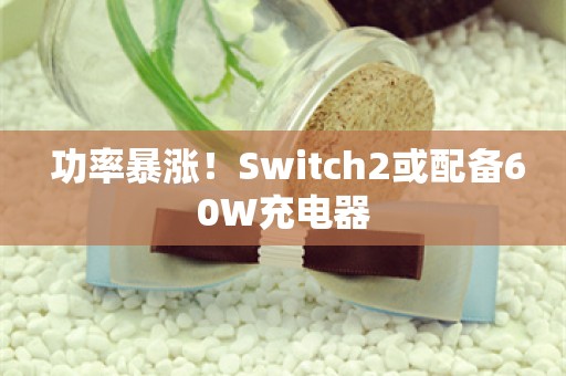  功率暴涨！Switch2或配备60W充电器