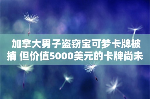  加拿大男子盗窃宝可梦卡牌被捕 但价值5000美元的卡牌尚未找回