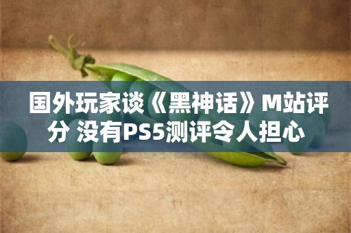  国外玩家谈《黑神话》M站评分 没有PS5测评令人担心