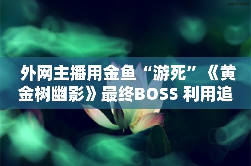  外网主播用金鱼“游死”《黄金树幽影》最终BOSS 利用追踪定位系统操作