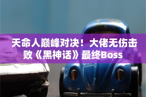  天命人巅峰对决！大佬无伤击败《黑神话》最终Boss