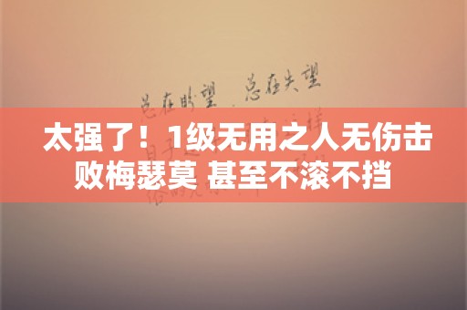  太强了！1级无用之人无伤击败梅瑟莫 甚至不滚不挡