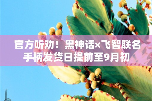  官方听劝！黑神话×飞智联名手柄发货日提前至9月初