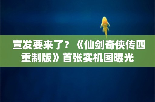  宣发要来了？《仙剑奇侠传四重制版》首张实机图曝光