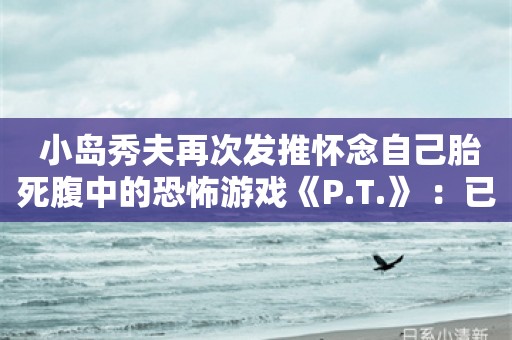  小岛秀夫再次发推怀念自己胎死腹中的恐怖游戏《P.T.》 ：已经10年了