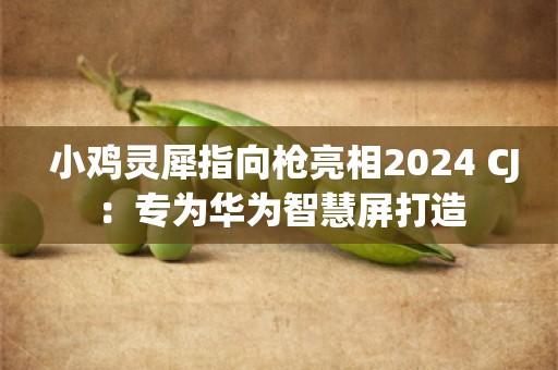  小鸡灵犀指向枪亮相2024 CJ：专为华为智慧屏打造