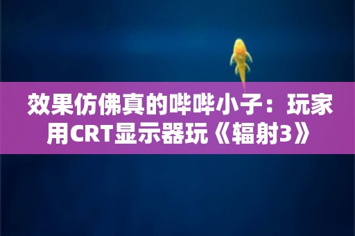  效果仿佛真的哔哔小子：玩家用CRT显示器玩《辐射3》