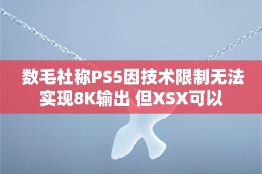  数毛社称PS5因技术限制无法实现8K输出 但XSX可以