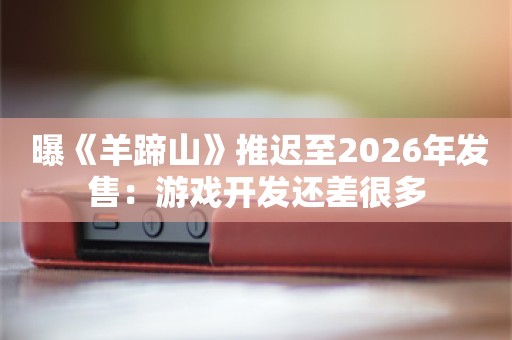  曝《羊蹄山》推迟至2026年发售：游戏开发还差很多