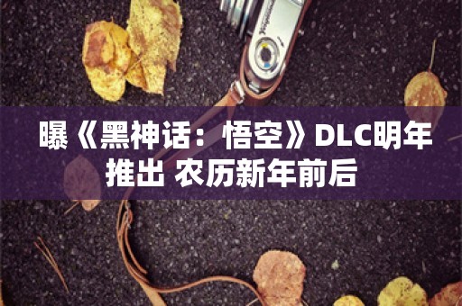  曝《黑神话：悟空》DLC明年推出 农历新年前后