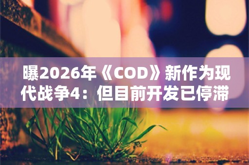  曝2026年《COD》新作为现代战争4：但目前开发已停滞