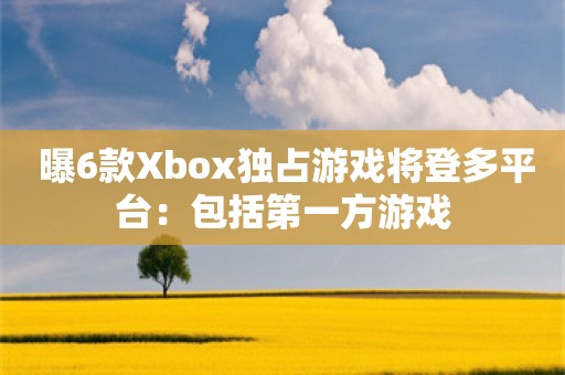  曝6款Xbox独占游戏将登多平台：包括第一方游戏