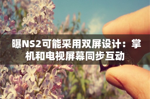  曝NS2可能采用双屏设计：掌机和电视屏幕同步互动