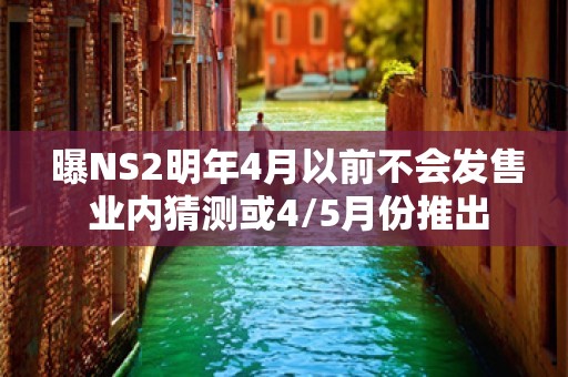  曝NS2明年4月以前不会发售 业内猜测或4/5月份推出