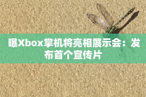  曝Xbox掌机将亮相展示会：发布首个宣传片