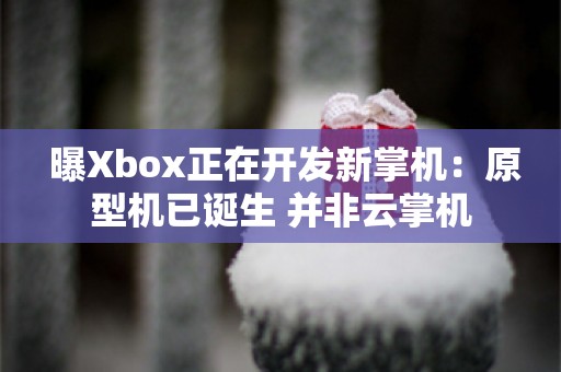  曝Xbox正在开发新掌机：原型机已诞生 并非云掌机