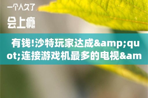  有钱!沙特玩家达成"连接游戏机最多的电视"吉尼斯纪录