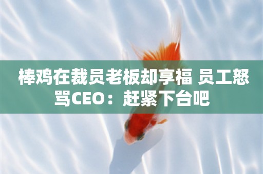  棒鸡在裁员老板却享福 员工怒骂CEO：赶紧下台吧