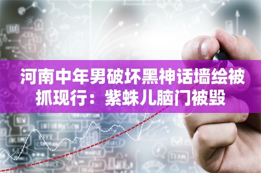  河南中年男破坏黑神话墙绘被抓现行：紫蛛儿脑门被毁