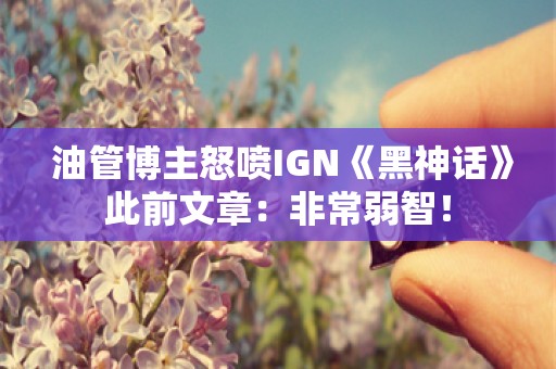  油管博主怒喷IGN《黑神话》此前文章：非常弱智！