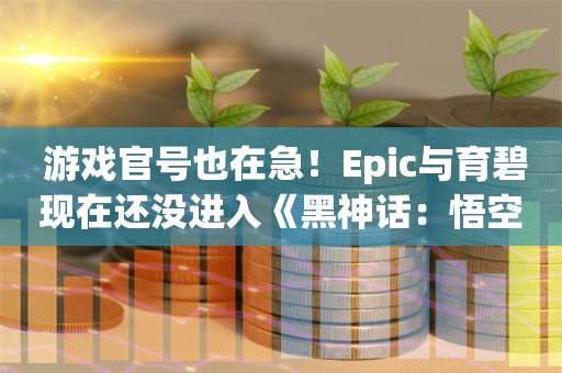  游戏官号也在急！Epic与育碧现在还没进入《黑神话：悟空》