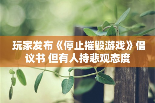  玩家发布《停止摧毁游戏》倡议书 但有人持悲观态度