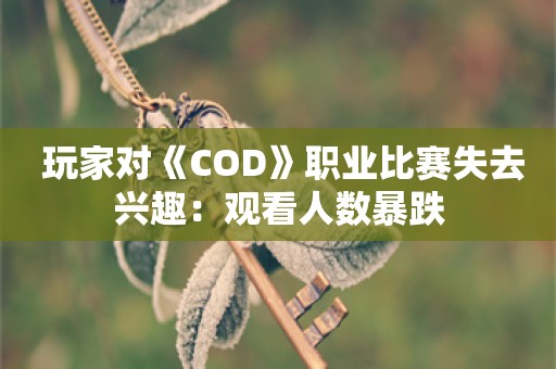  玩家对《COD》职业比赛失去兴趣：观看人数暴跌