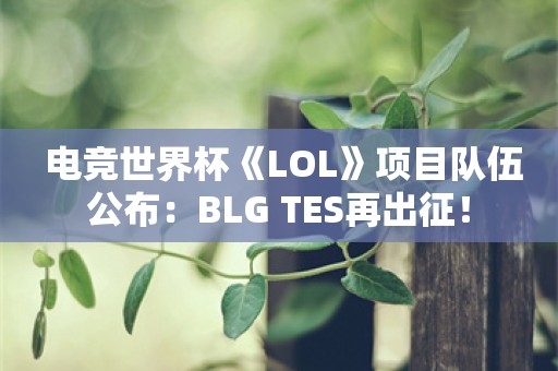  电竞世界杯《LOL》项目队伍公布：BLG TES再出征！