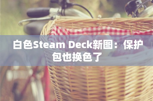  白色Steam Deck新图：保护包也换色了